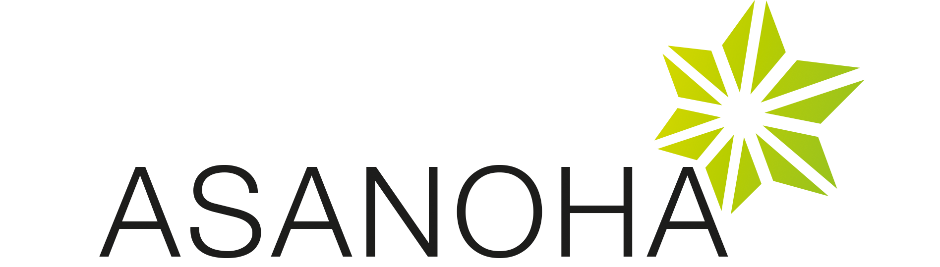 Asanoha GmbH